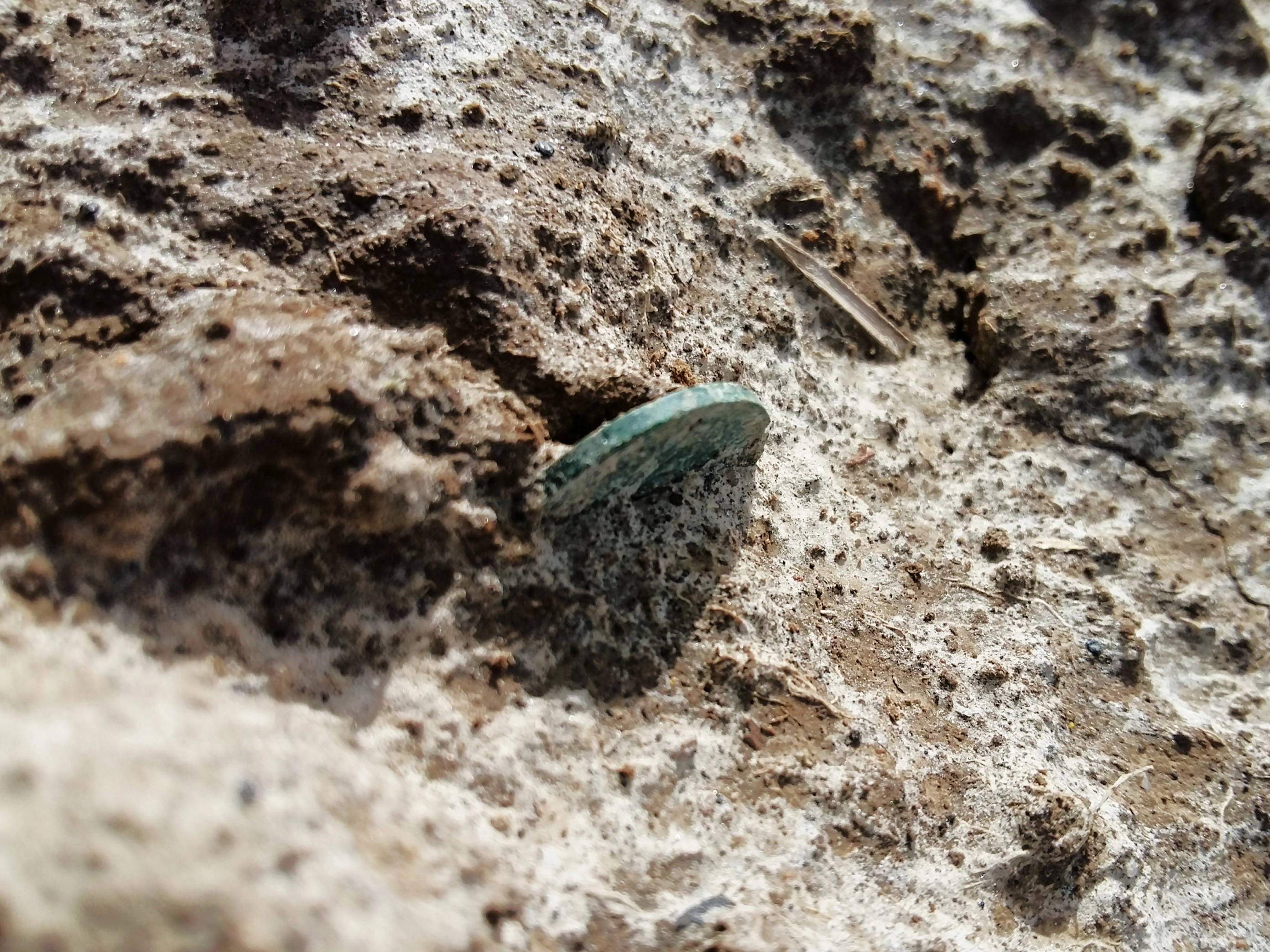 Fragment zakopanej monety z wykopalisk archeologicznych